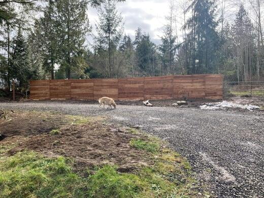 Live edge Fence